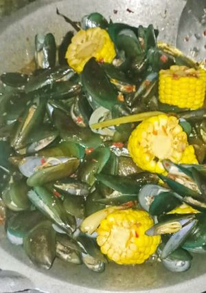 Foto resep Kerang Ijo Saos Padang