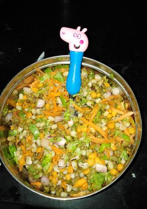A picture of Sprouts crunchy snack.