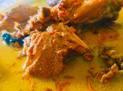 Gambar opor bebek