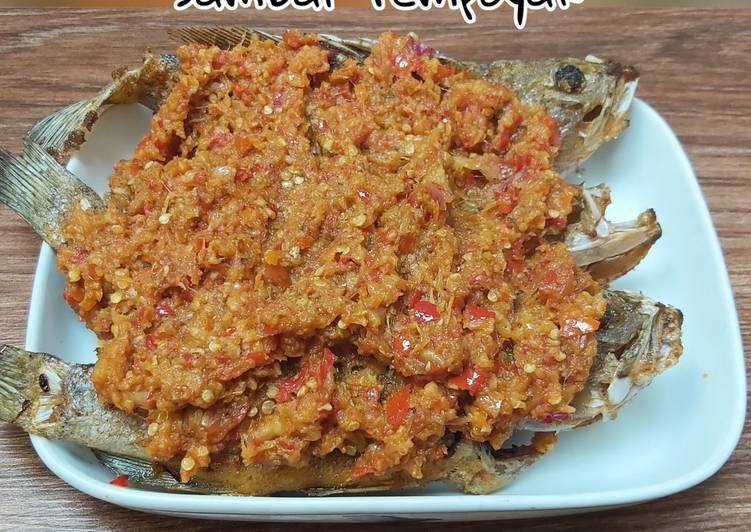 Resep Terbaru Ikan Kerapu Sambal Tempoyak pedas &amp;amp; nikmattt #tempoyakhomemade Mantul Banget