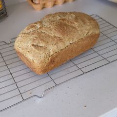Reused homebrew spent grain for fresh bread🍺🍞 A picture of Reused homebrew spent grain for fresh bread🍺🍞.