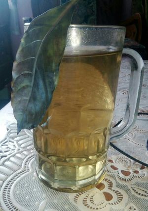 Foto resep Ramuan daun handeuleum