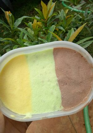 Foto resep Ice cream lembut (homemade)