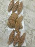 Oatmeal and Chocolate Cookies