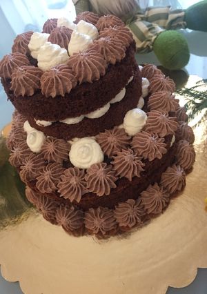 Foto di Naked Cake cioccolato e panna