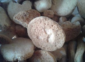 Una foto de Galletitas con miel libres de gluten MAKALPA