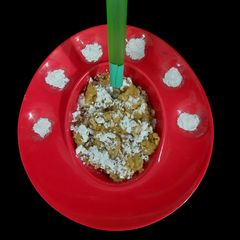 A picture of LAPSI (KANSAR) in microwave only in 5 minutes.