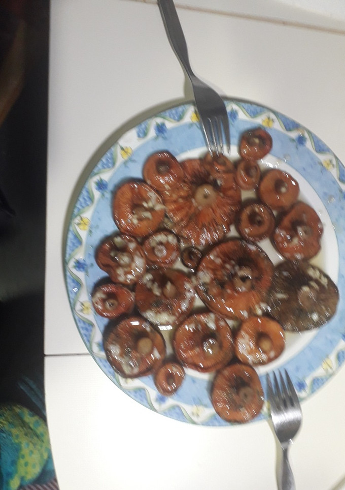 Una foto de Níscalos al horno