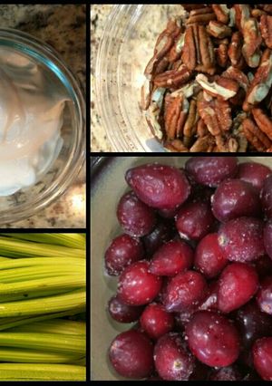 A picture of Karen’s Cranberry Salad.