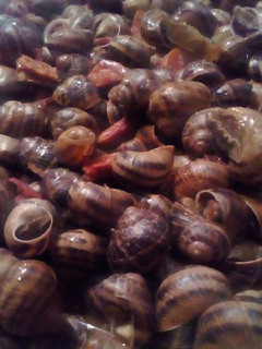 Una foto de Caracoles al ajoarriero