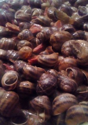 Foto principal de Caracoles al ajoarriero