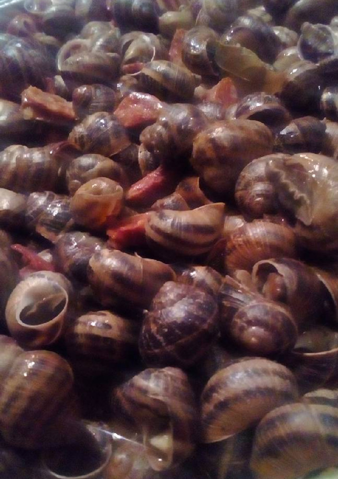 Una foto de Caracoles al ajoarriero
