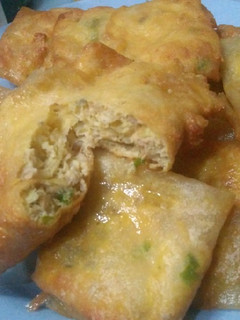 Foto resep Martabak tempe
