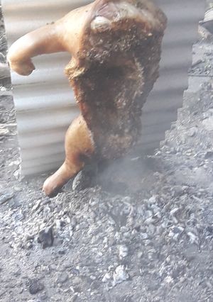 Una foto de Lechón al asador