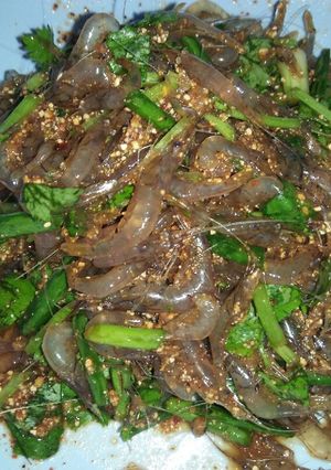 รูปของ กุ้งเต้น