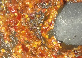 Resep Unik Sambal terasi Enak Bergizi