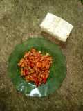 497. Orek Tempe