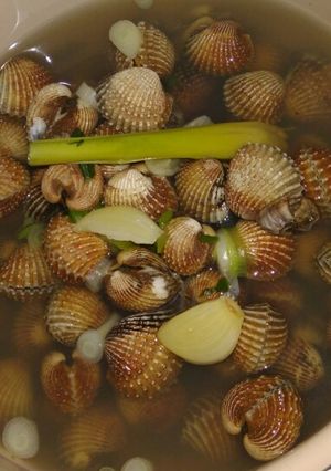 Foto resep Sop Kerang Dara / Tude