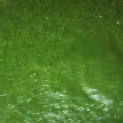A picture of Pudina chutney.