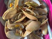 Gambar kerang kepah untuk anak