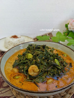 Foto resep Sayur Pakis Santan