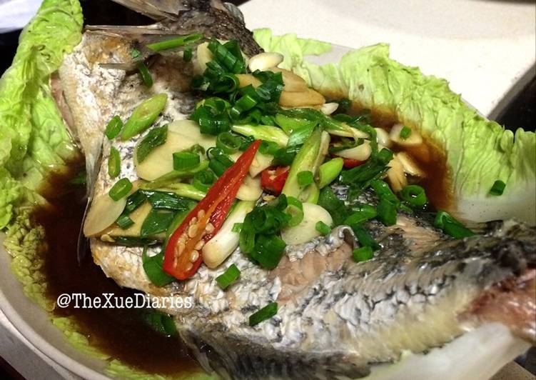  Resep  Ikan Tim Jahe  Daun Bawang  Steamed Fish with 