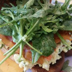 Egg Salad Sammich A picture of Egg Salad Sammich.