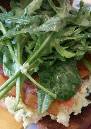 A picture of Egg Salad Sammich.
