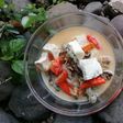 Kerang Kuah Santan