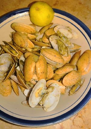 صورة لوصفة نقنقه الجندوفلي
