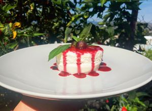 Una foto de Panna cotta de coco con coulis de Jamaica y mezcal