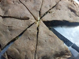 Masa de Tarta integral