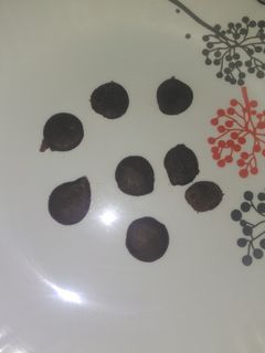 Una foto de Decoraciones de chocolate