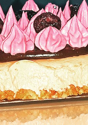 A picture of Cranberry cream chesse chocolate dessert.