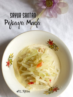 Foto resep #523 Sayur Santan Pepaya Muda