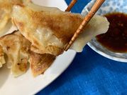 A picture of japanese gyoza dumplings