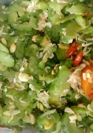 Foto resep Tumis pare udang rebon