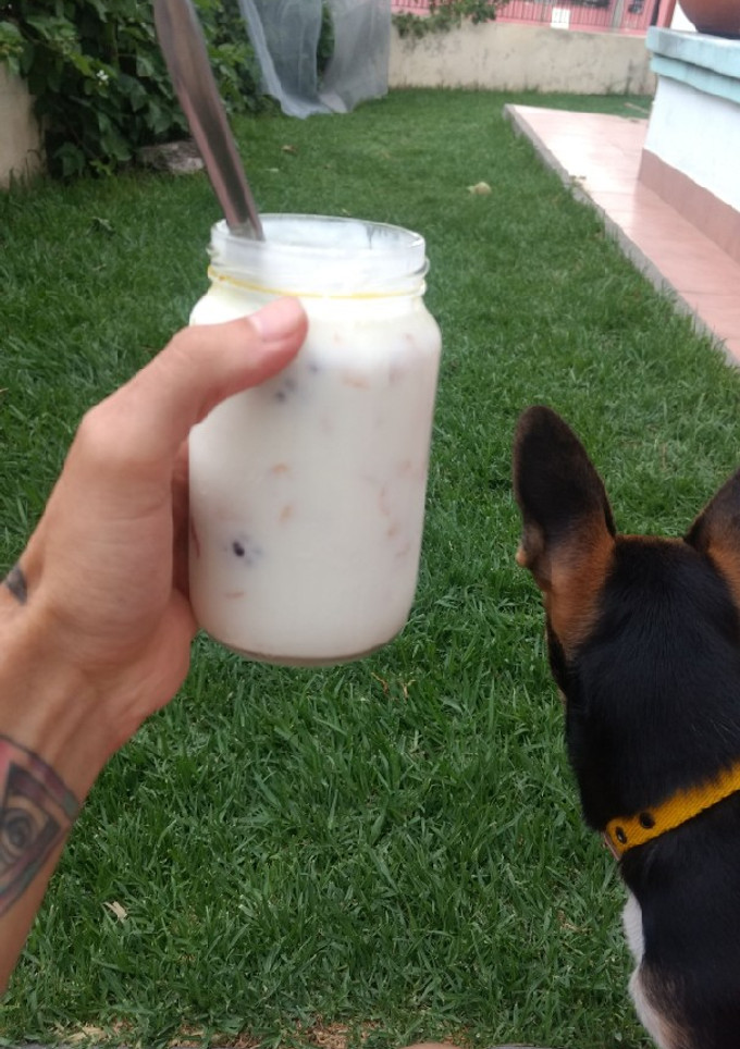 Una foto de Yogurt casero apto para diabético