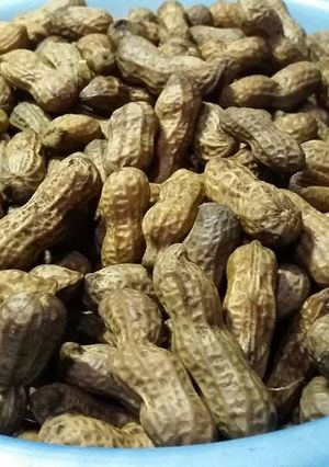 Foto resep Kacang Rebus (Kacang Godog)