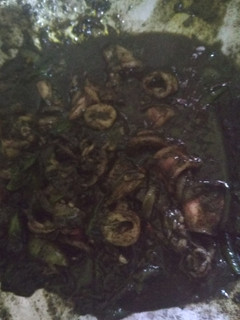 Foto resep Cumi Hitam Cabe Hijau