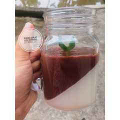 รูปของ Puding coklat susu sederhana