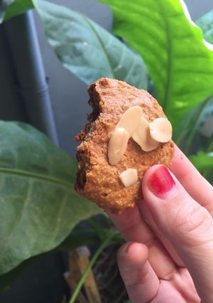 Foto resep Almond Cookies (KETO)