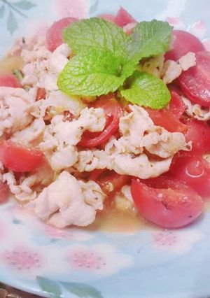 蕃茄炒肉片 的食譜成品照片