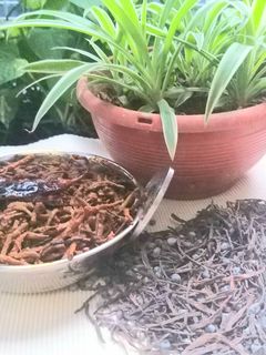 कैर सांगरी राजस्थानी पारम्परिक सब्जी (Kair Sangri Rajasthani Paramparik Sabzi recipe in Hindi) रेसिपी मुख्य फोटो