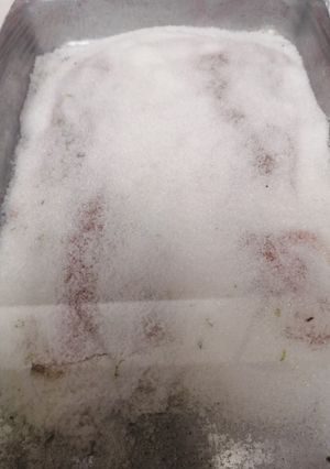 Una foto de Filete de trucha curado
