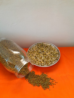 ફણગાવેલા મગ (Sprouted Moong Recipe In Gujarati) રેસીપી મુખ્ય ફોટો