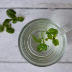A picture of Wake Me Up Minty brew🌿.