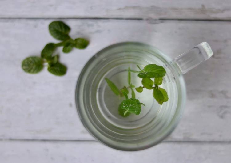 How to Prepare Homemade Minty hot drink 🌿