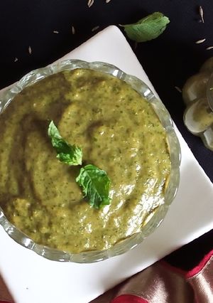 A picture of Snacks Chutney.