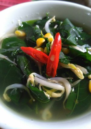 Foto resep Bening daun katuk (Asibooster)